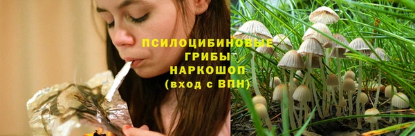 каннабис Алзамай