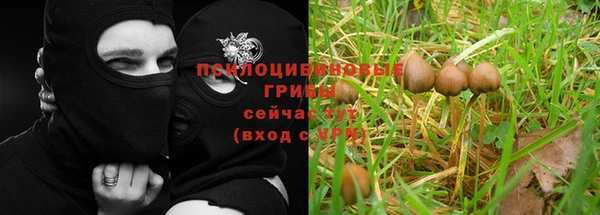 гашиш Алексеевка