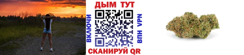 Конопля AK-47  дарнет шоп  Суровикино 